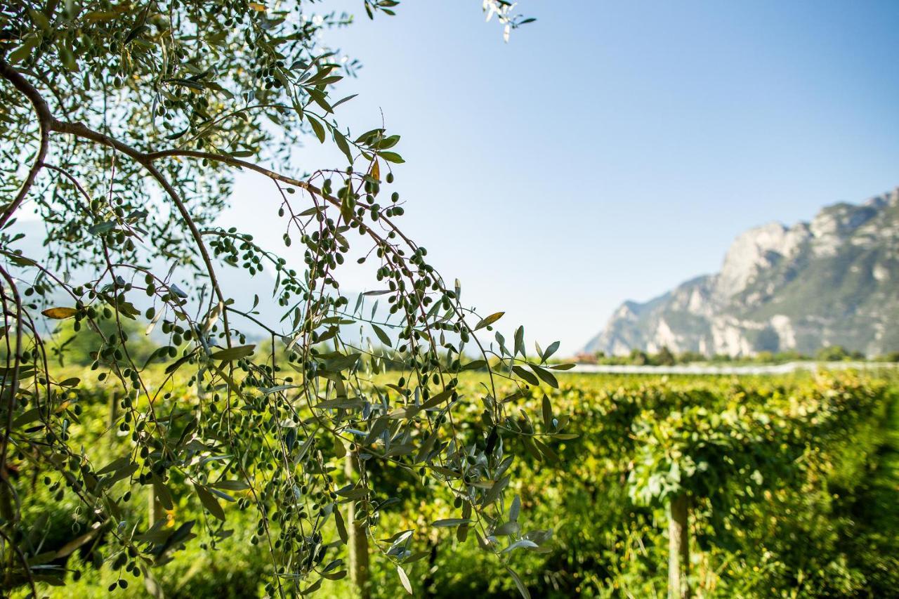 Agriturismo Casa Di Campagna Villa Riva del Garda Exterior photo